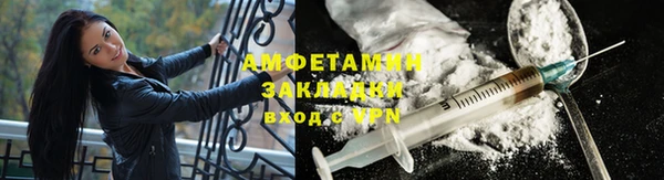 молекула духа Ельня