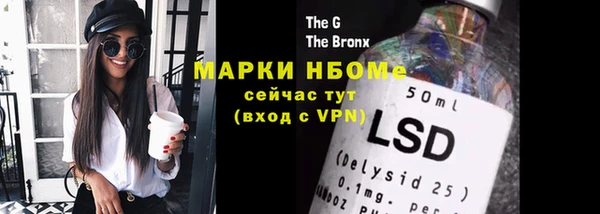молекула духа Ельня