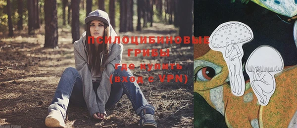 прущий лед Елизово