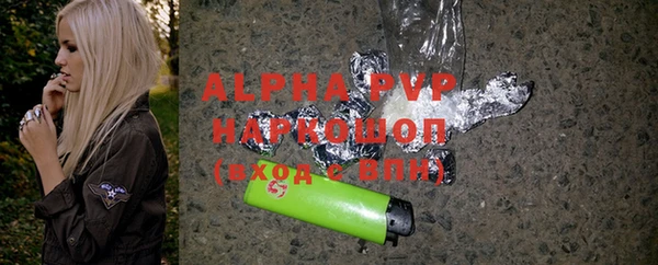 молекула духа Ельня