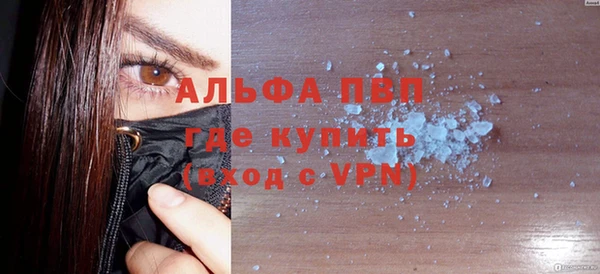 молекула духа Ельня