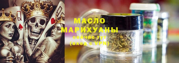 молекула духа Ельня