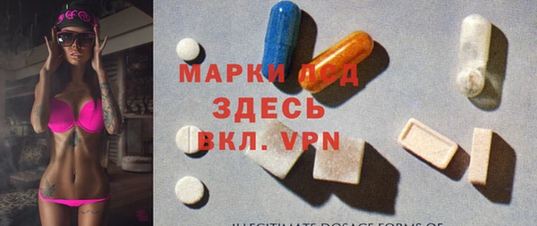 молекула духа Ельня
