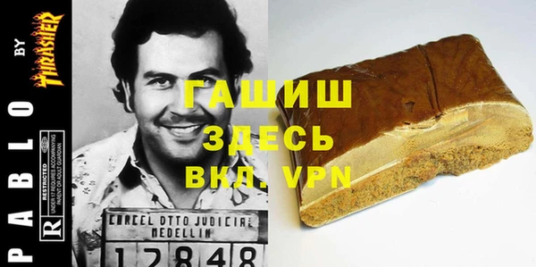 молекула духа Ельня